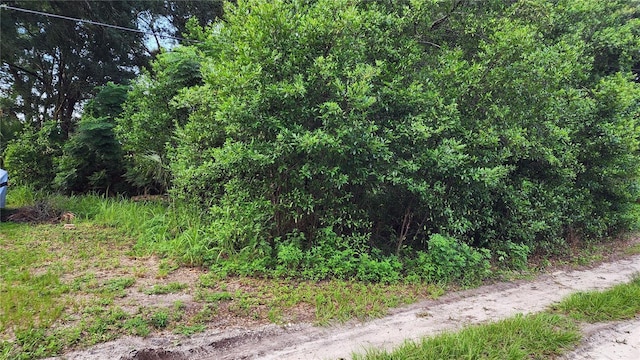 Listing photo 2 for LOT7 Algonquin Ave, Mount Plymouth FL 32776