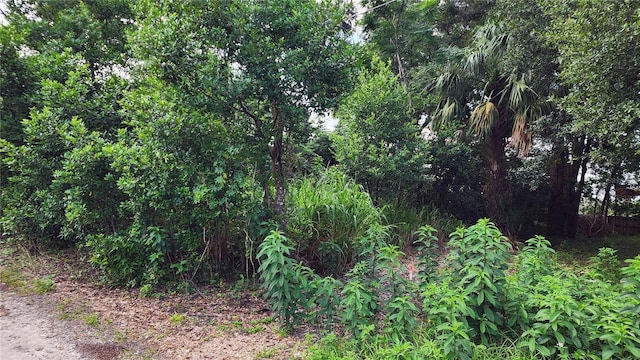 Listing photo 3 for LOT7 Algonquin Ave, Mount Plymouth FL 32776