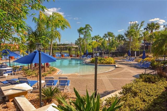 view of swimming pool with a patio