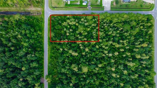 0 Ralston St, Orlando FL, 32833 land for sale