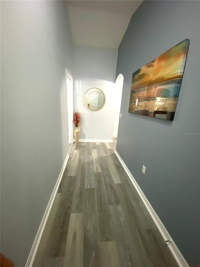 hall featuring lofted ceiling and wood-type flooring