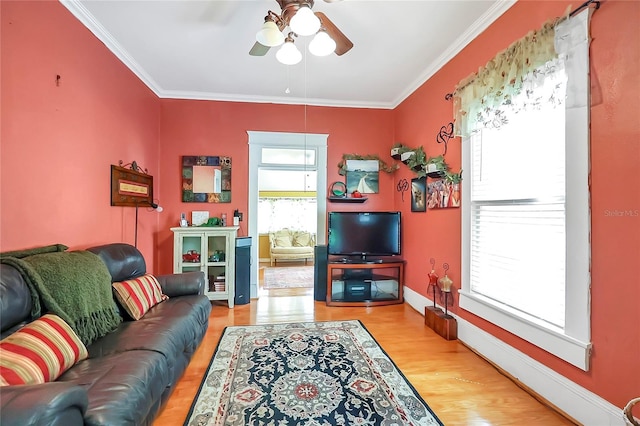 living room with light wood-type flooring, crown molding, and ceiling fan