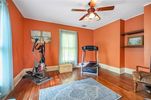 exercise area featuring ceiling fan and hardwood / wood-style flooring