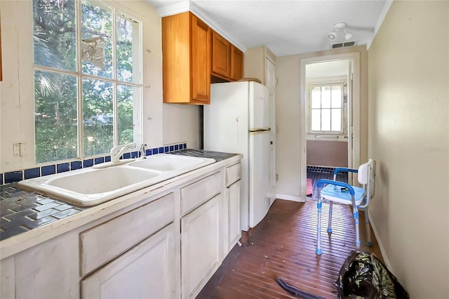 kitchen featuring sink, dark hardwood / wood-style flooring, and a healthy amount of sunlight