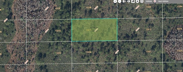 Dill Rd, Orlando FL, 32820 land for sale