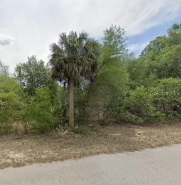 11675 N Captiva Ter, Dunnellon FL, 34433 land for sale