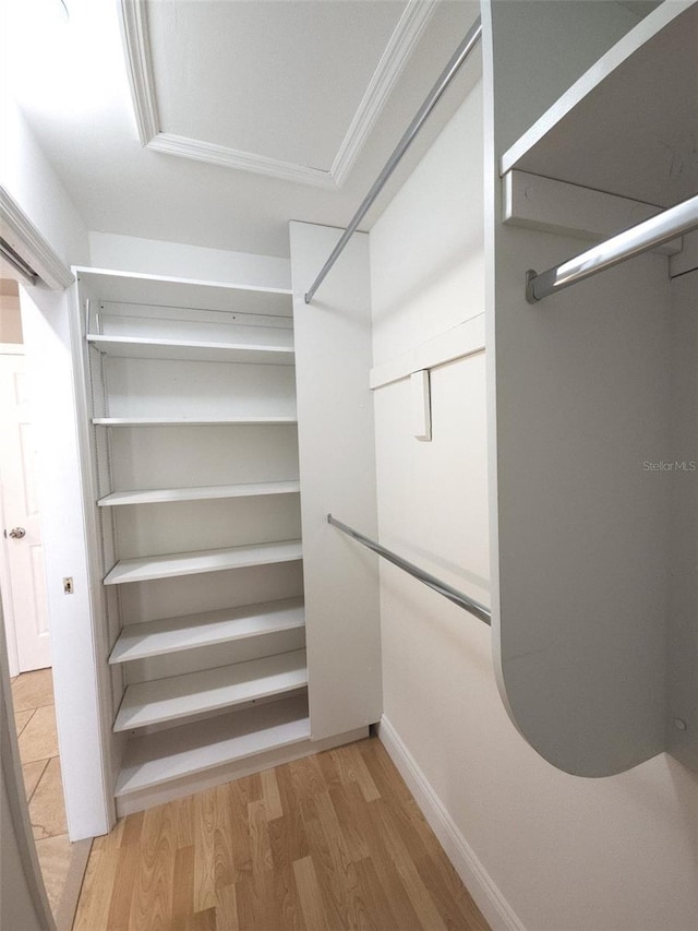 spacious closet featuring hardwood / wood-style floors