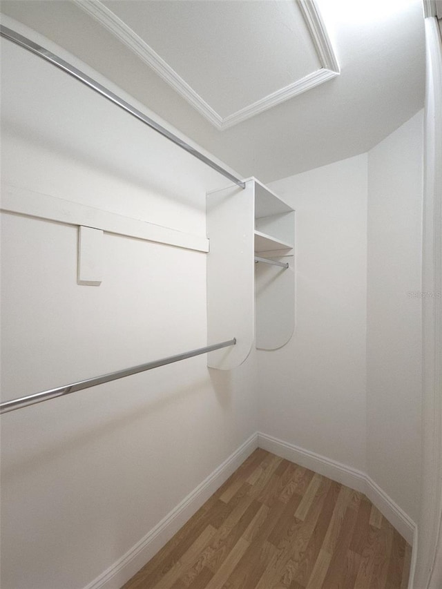 walk in closet featuring hardwood / wood-style flooring