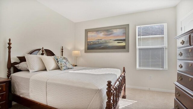 3047 Tansy St, Tavares, FL 32778 - photo 17