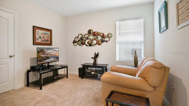 3047 Tansy St, Tavares, FL 32778 - photo 19