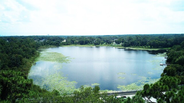 view of water feature