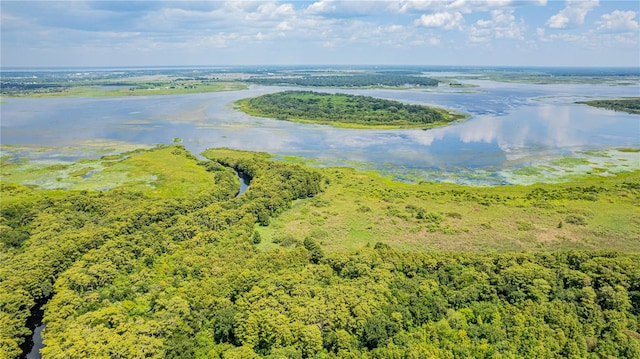 bird's eye view featuring a water view