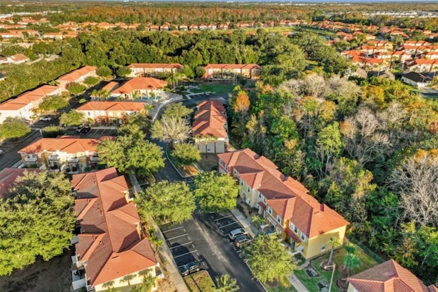 bird's eye view