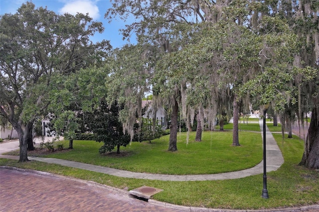 view of community featuring a lawn