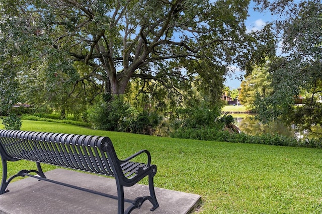 view of property's community with a yard