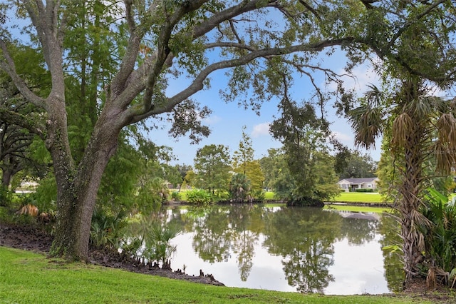 view of water feature