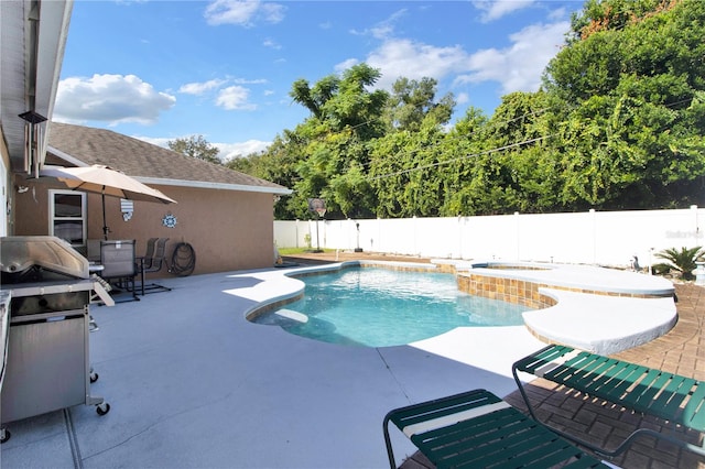 view of swimming pool with a patio