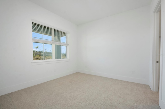 spare room featuring carpet floors