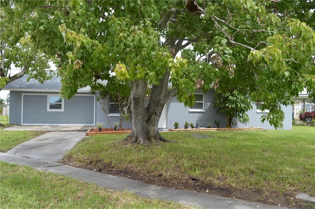 view of property hidden behind natural elements featuring a front lawn