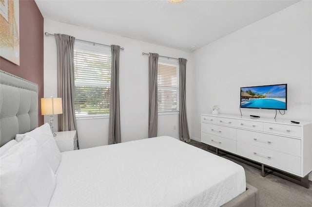 bedroom with carpet floors