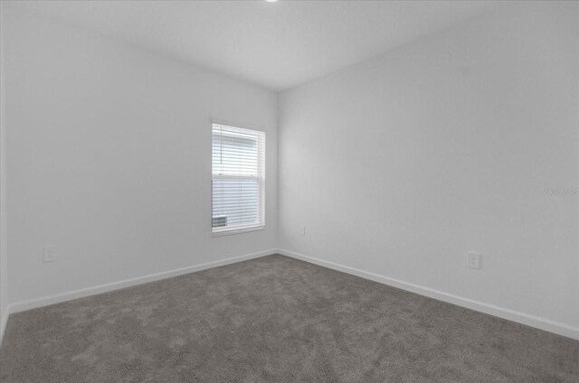 unfurnished room featuring carpet