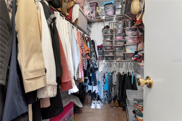 spacious closet featuring carpet floors