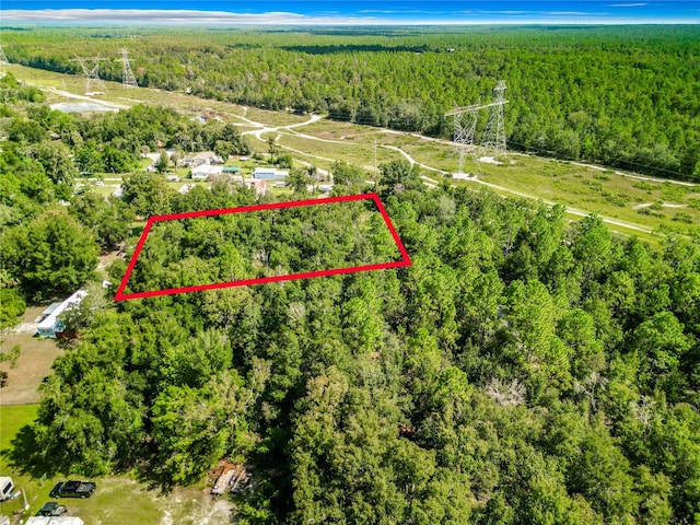 3152 N Bert Ter, Crystal River FL, 34428 land for sale