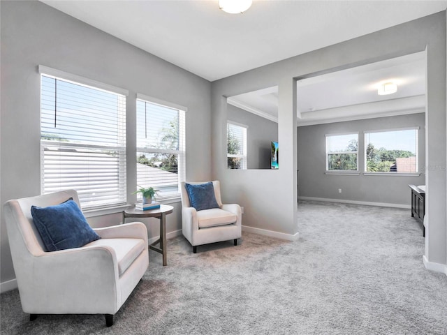 living area featuring carpet floors