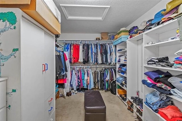 view of walk in closet