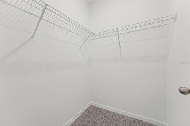 3824 Giorgio Dr, Winter Haven, FL 33884 - spacious closet with carpet floors