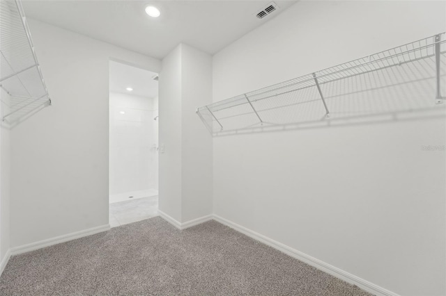 3824 Giorgio Dr, Winter Haven, FL 33884 - spacious closet with carpet flooring