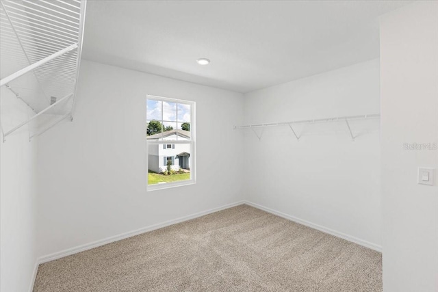 spacious closet featuring carpet