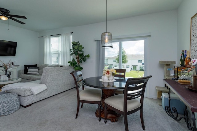 dining area with ceiling fan and carpet flooring