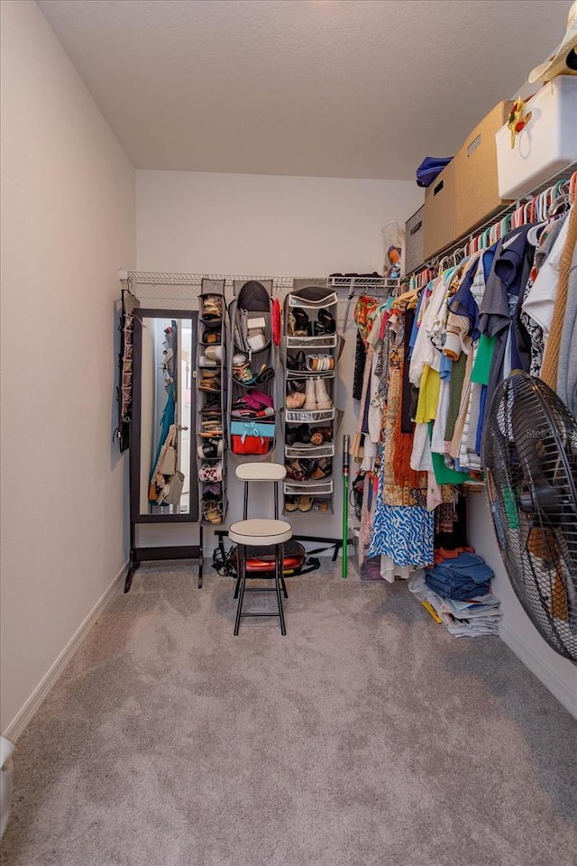 spacious closet featuring light colored carpet