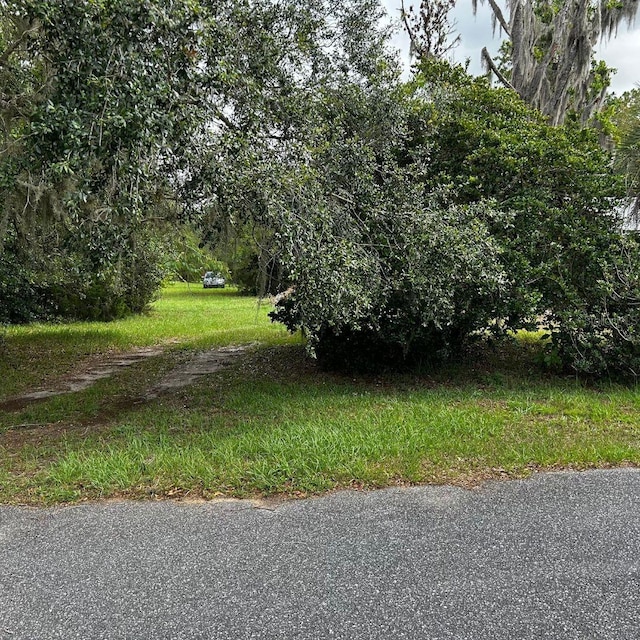 Listing photo 2 for 0 SE 195th Pl, Dunnellon FL 34431