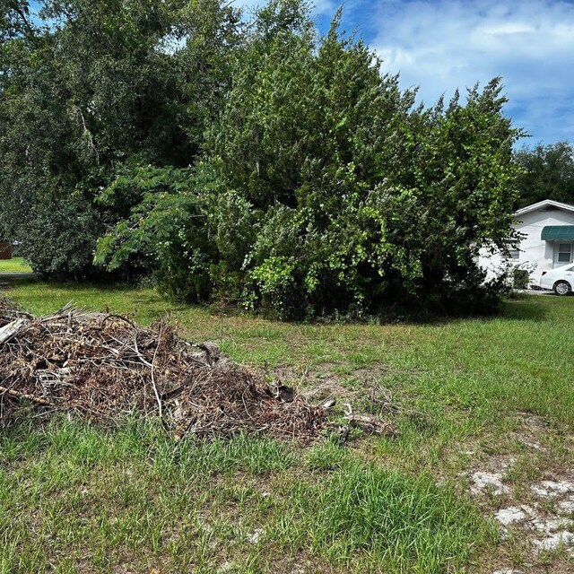 Listing photo 3 for 0 SE 195th Pl, Dunnellon FL 34431