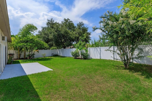 view of yard featuring a patio