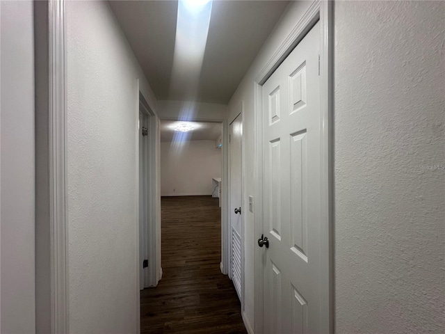 hall featuring dark hardwood / wood-style floors