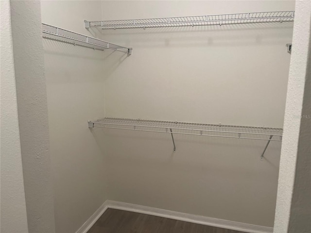 walk in closet with hardwood / wood-style floors