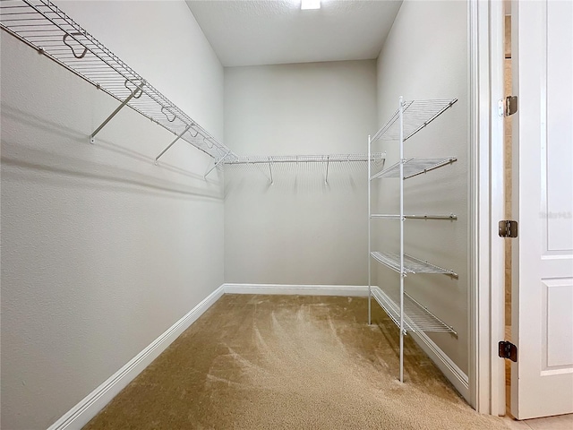 spacious closet with carpet flooring