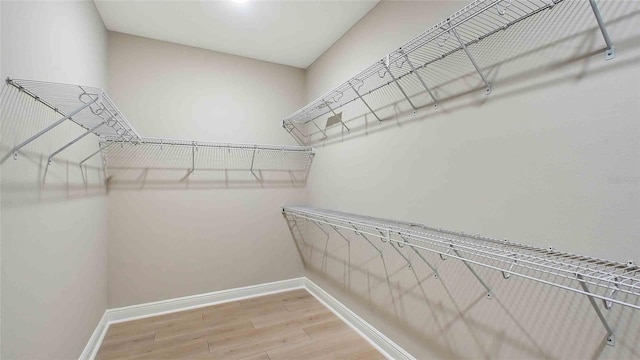 4910 Carova Way, Lakewood Ranch, FL 34211 - spacious closet with light wood-type flooring