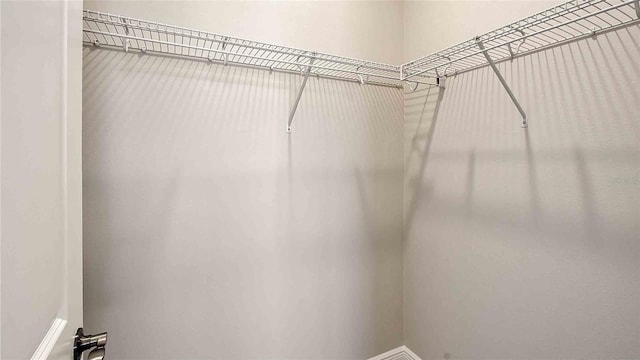 4910 Carova Way, Lakewood Ranch, FL 34211 - view of spacious closet