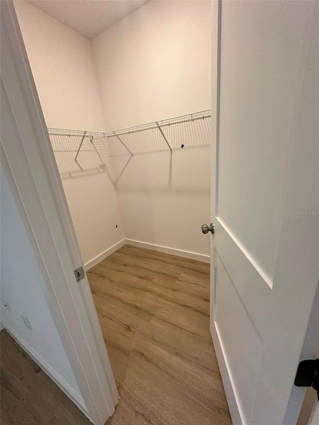 spacious closet with hardwood / wood-style floors