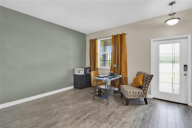 living area featuring wood-type flooring