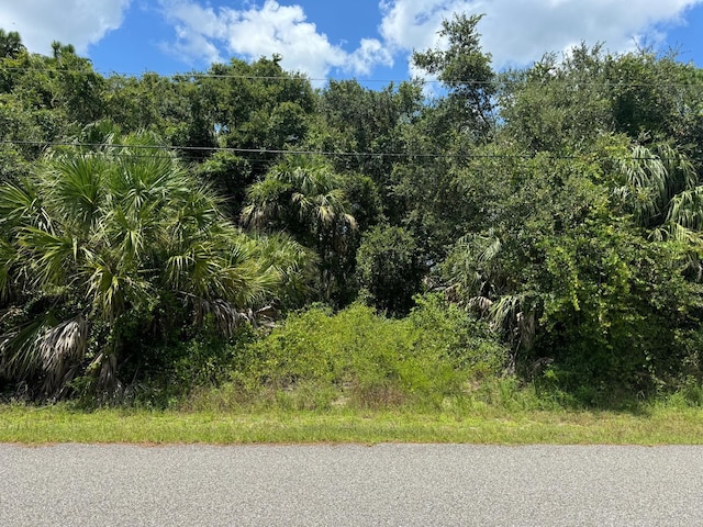 Listing photo 2 for Wentworth St, North Port FL 34288