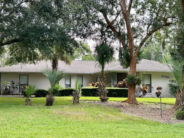 ranch-style home featuring a front yard