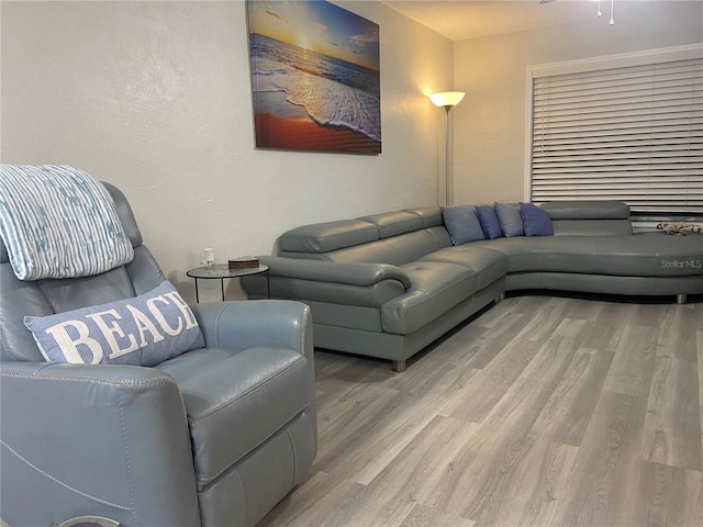 living room with a textured wall and wood finished floors