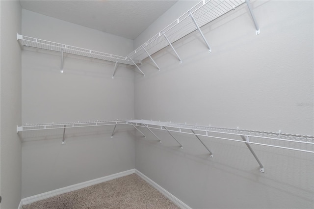 walk in closet featuring carpet floors