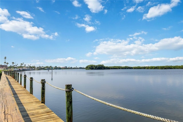 dock area featuring a water view