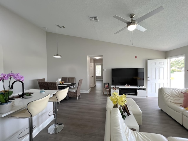 living room featuring dark hardwood / wood-style floors, vaulted ceiling, and a textured ceiling